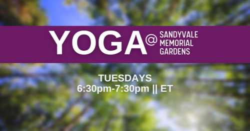 Blurred image of a tree and sky with white block lettering Yoga @ Sandyvale, Tuesdyas 6:30-7:30 PM